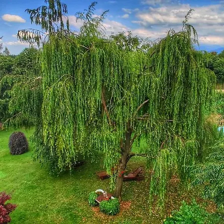 Bed and Breakfast Milu Κούνεο