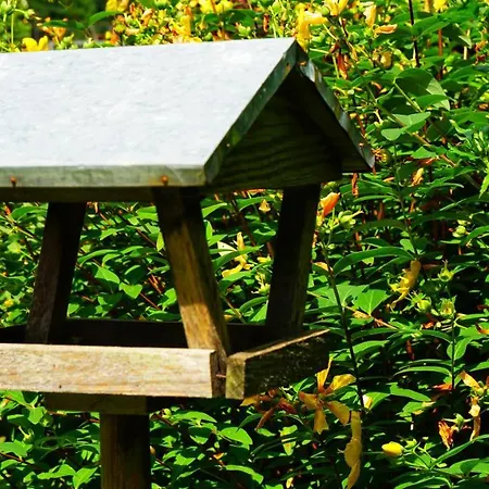 Milu Bed and Breakfast Κούνεο