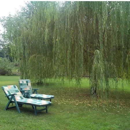 Milu Bed & Breakfast