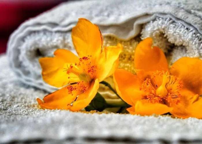 Milu לינה וארוחת בוקר