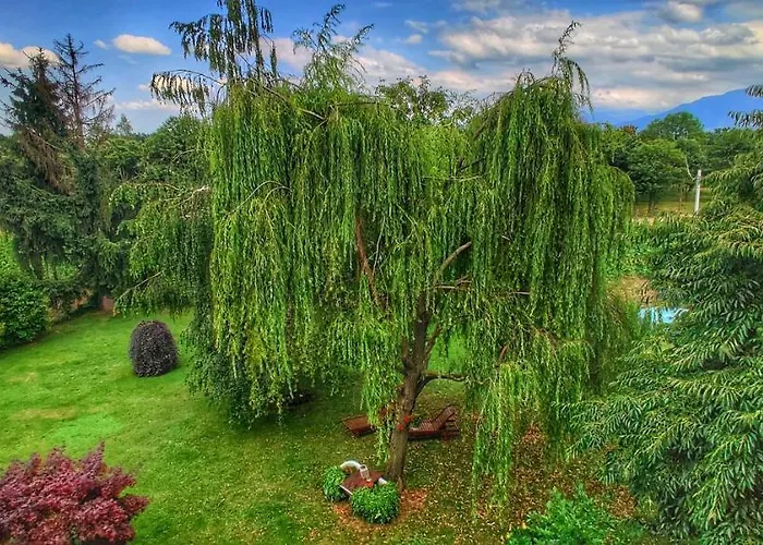 לינה וארוחת בוקר Milu קונאו