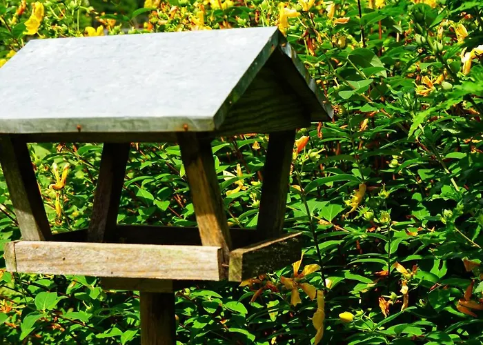 Milu Отель типа 