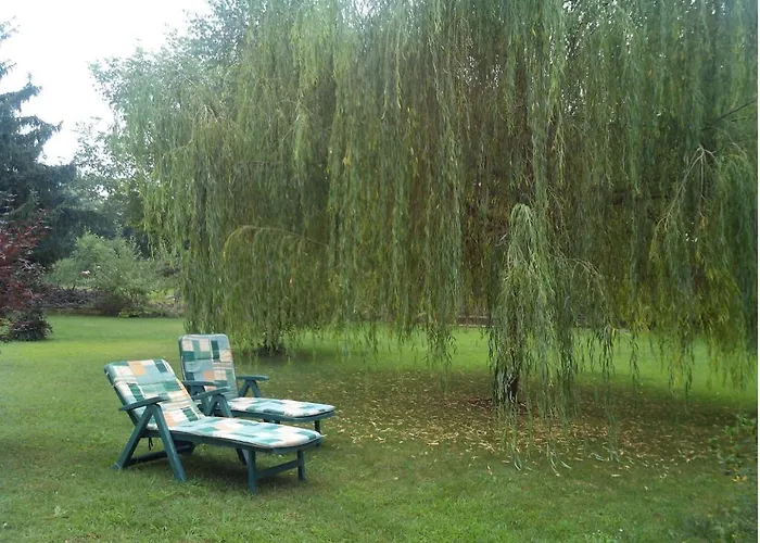 Milu Отель типа 