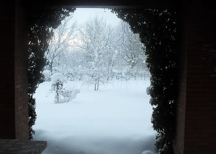 לינה וארוחת בוקר Milu קונאו